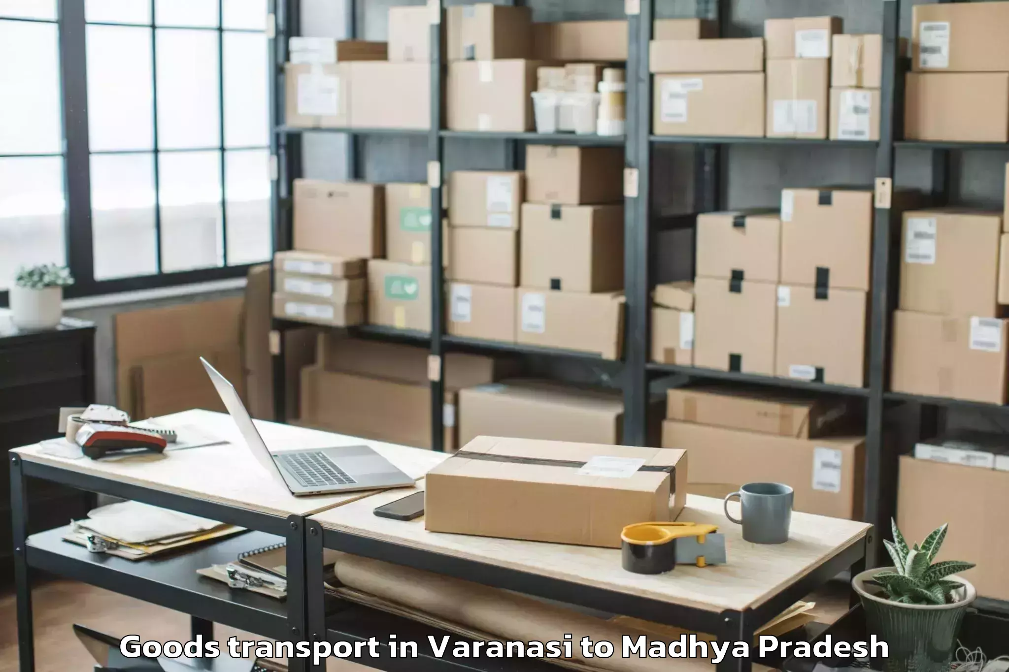 Top Varanasi to Peoples University Bhopal Goods Transport Available